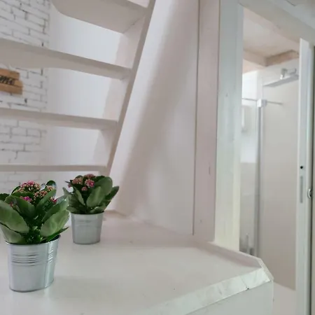 New Loft In The Heart Of Apartment *
